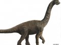 brachiosaurus.jpg